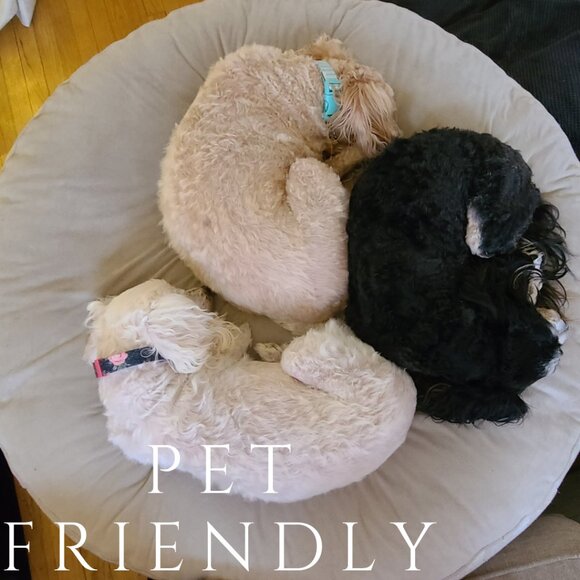 Meet your Posher, Rita - Picture 3 of 6